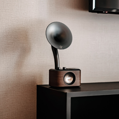Sangean CP-100 (AM / FM / Bluetooth / AUX Retro Design Gramophone Radio) - 1 Year Manufacturer Warranty