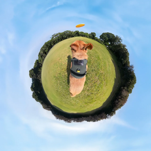 Insta360 Pet Harness Mount Size L
