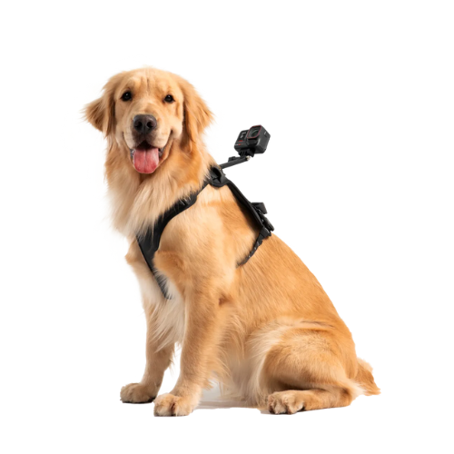 Insta360 Pet Harness Mount Size L