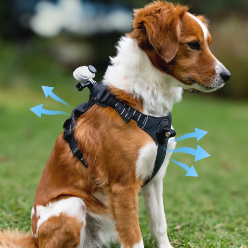 Insta360 Pet Harness Mount (S or M)