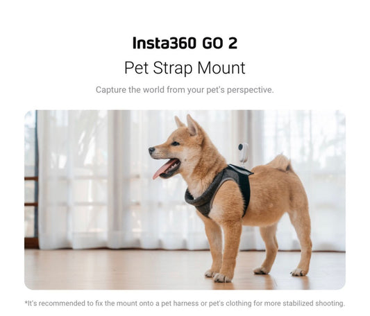 Insta360 GO2 -Pet Strap Mount