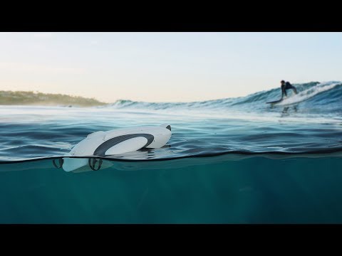 PowerVision PowerDolphin Wizard Edition -1 Year Local Distributor