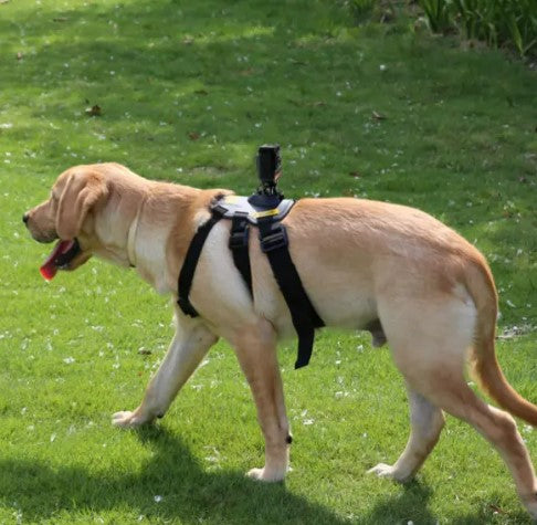 Insta360 Sports Bundle (Pet Bundle)