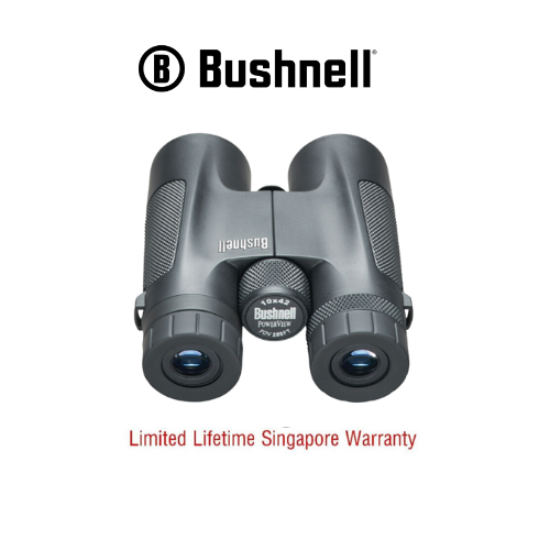 Bushnell POWERVIEW® Roof Binoculars 10X42 (141042) - Limited Lifetime Warranty