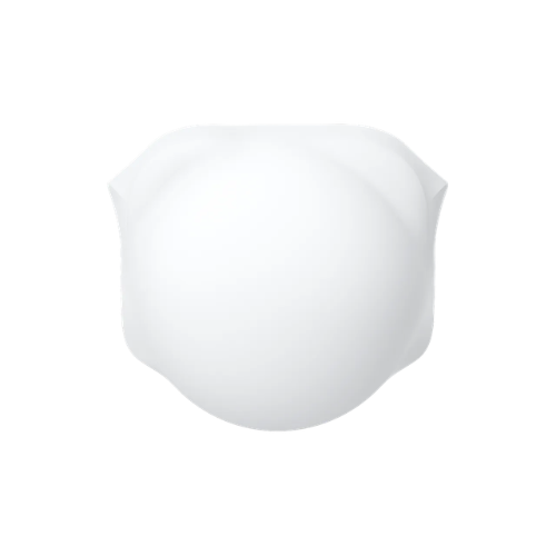 Insta360 X6 Lens Cap