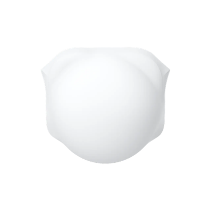 Insta360 X6 Lens Cap